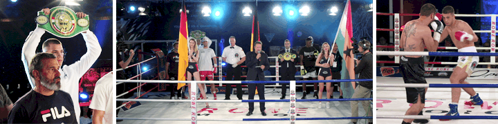 Collage aus Boxkampf-Szenen: Sieger mit Gürtel, Ring mit Deutschlandflaggen und aktiver Kampf beim Turnier in Hamburg